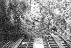 Am 24. Juni 1973 wurde das Trassee der Gütschbahn bei einem Erdrutsch wieder komplett verschüttet - die Standseilbahn Gütsch war danach über ein Jahr ausser Betrieb - Foto Archiv standseilbahnen.ch Am 24. Juni 1973 wurde das Trassee der Gütschbahn bei einem Erdrutsch wieder komplett verschüttet - die Standseilbahn Gütsch war danach über ein Jahr ausser Betrieb - Foto Archiv standseilbahnen.ch