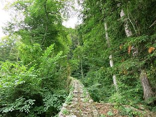 Wartensteinbahn Wasserballastbahn Standseilbahn Bad Ragaz Wartenstein Trassee der ehemaligen Drahtseilbahn